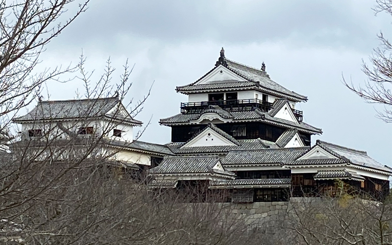 松山城は、愛媛県松山市にある日本の城。