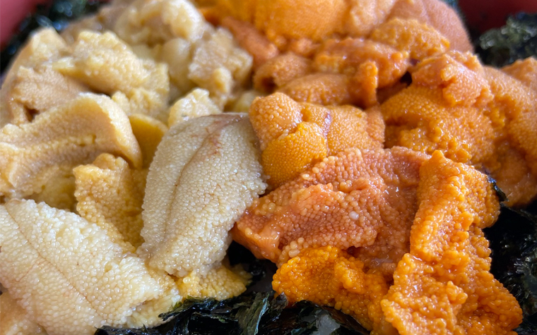 キタムラサキウニと蝦夷バフンウニの2色丼
