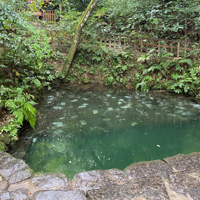 八重垣神社「鏡の池」