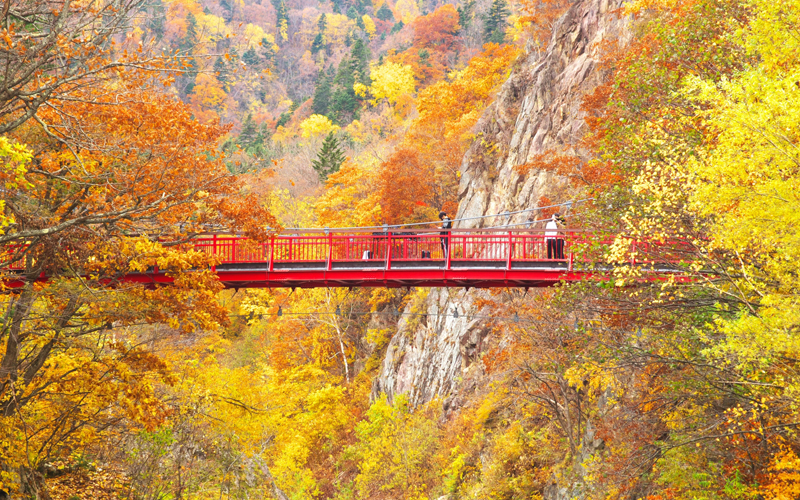 秋の定山渓温泉二見吊り橋