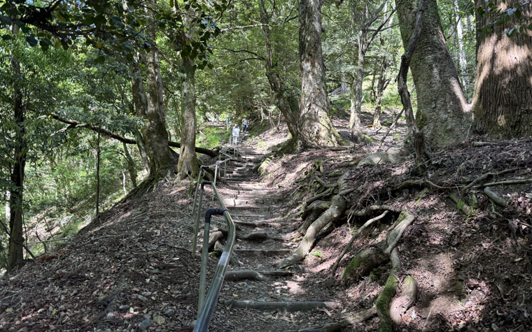 鞍馬山登山道